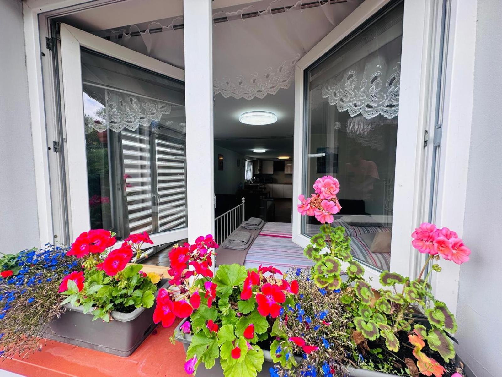 Apartament Bukowy Kłodzko Zewnętrze zdjęcie